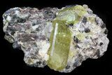 Apatite Crystals In Matrix - Durango, Mexico #43409-1